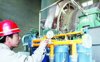 北疆水泥 以技术改造与产品创新，引领行业节能新篇章