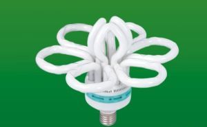 丁小兵 引领节能产品技术开发的创新者